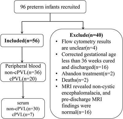 The association of γδT lymphocytes with cystic leukomalacia in premature infants